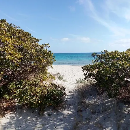 Homestay Anche No Olbia